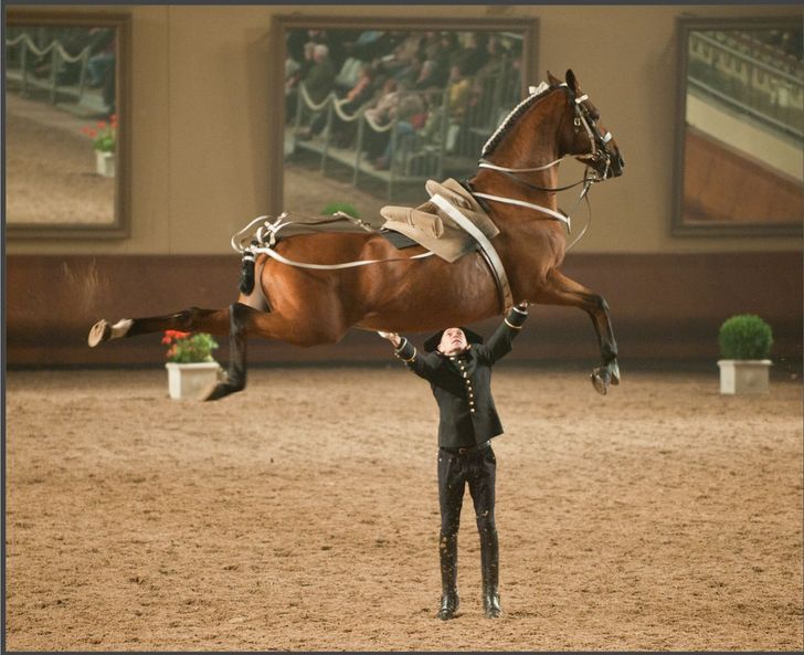 Fotos hechas en el momento perfecto - El hombre que sujetaba a los caballos