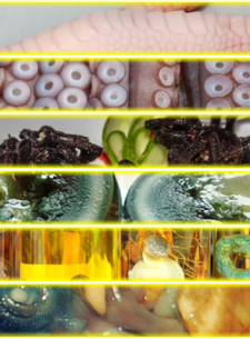 10 foods that will surprise you