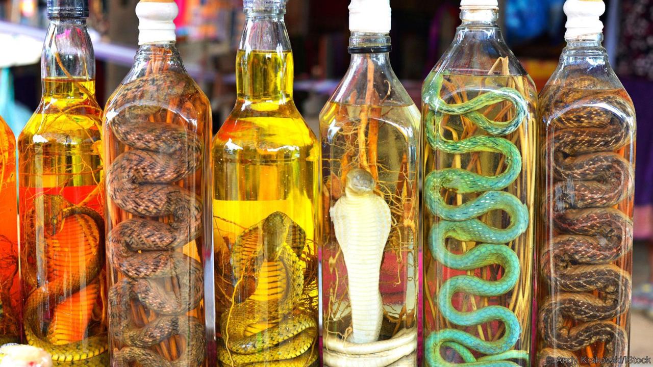 10 alimentos que nunca imaginarías - Vino de serpiente