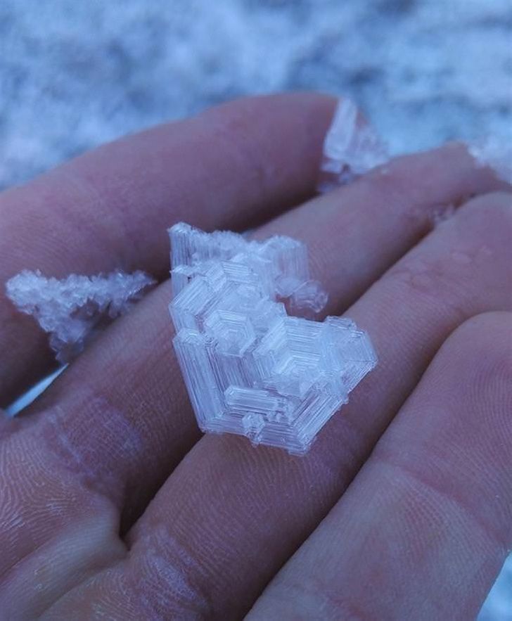 Picture Perfect Moments - This is how beautiful a snowflake is up close