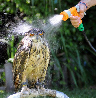 Keeping Cool - title