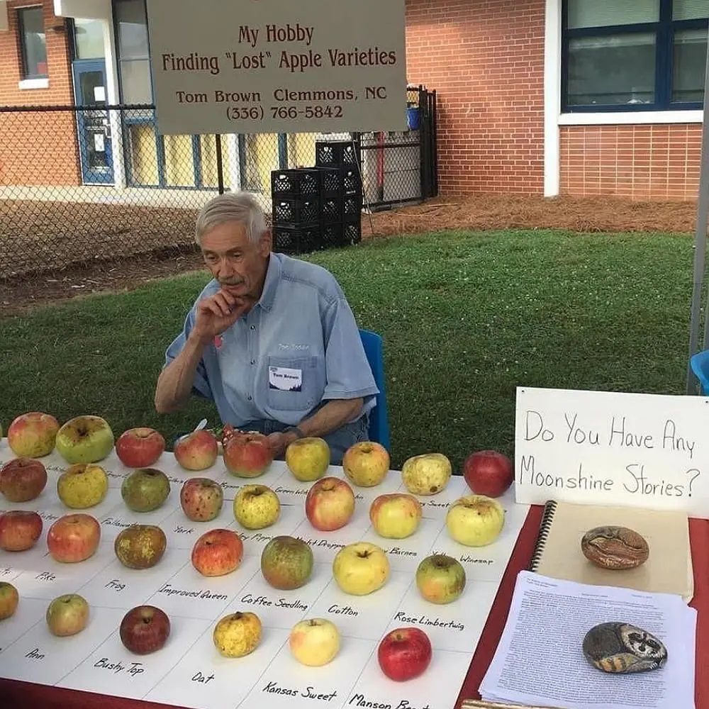 20 Collections Impressionnantes Dont Vous n'Auriez Jamais Imaginé l'Existence - Pommes Oubliées