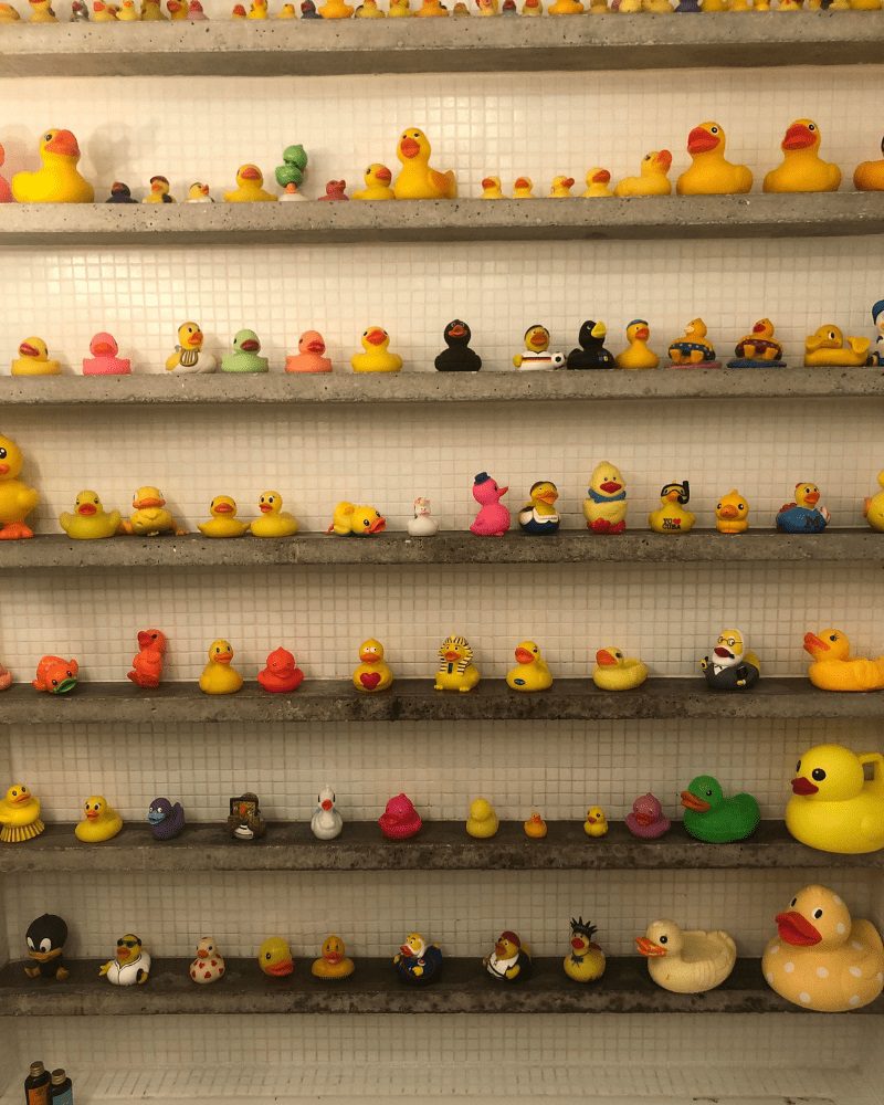 20 Collections Impressionnantes Dont Vous n'Auriez Jamais Imaginé l'Existence - Canards en Caoutchouc