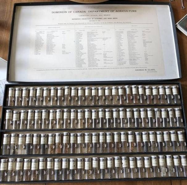 Wahre Schätze, die vielleicht auch bei dir zu Hause verborgen sind - Samensammlung