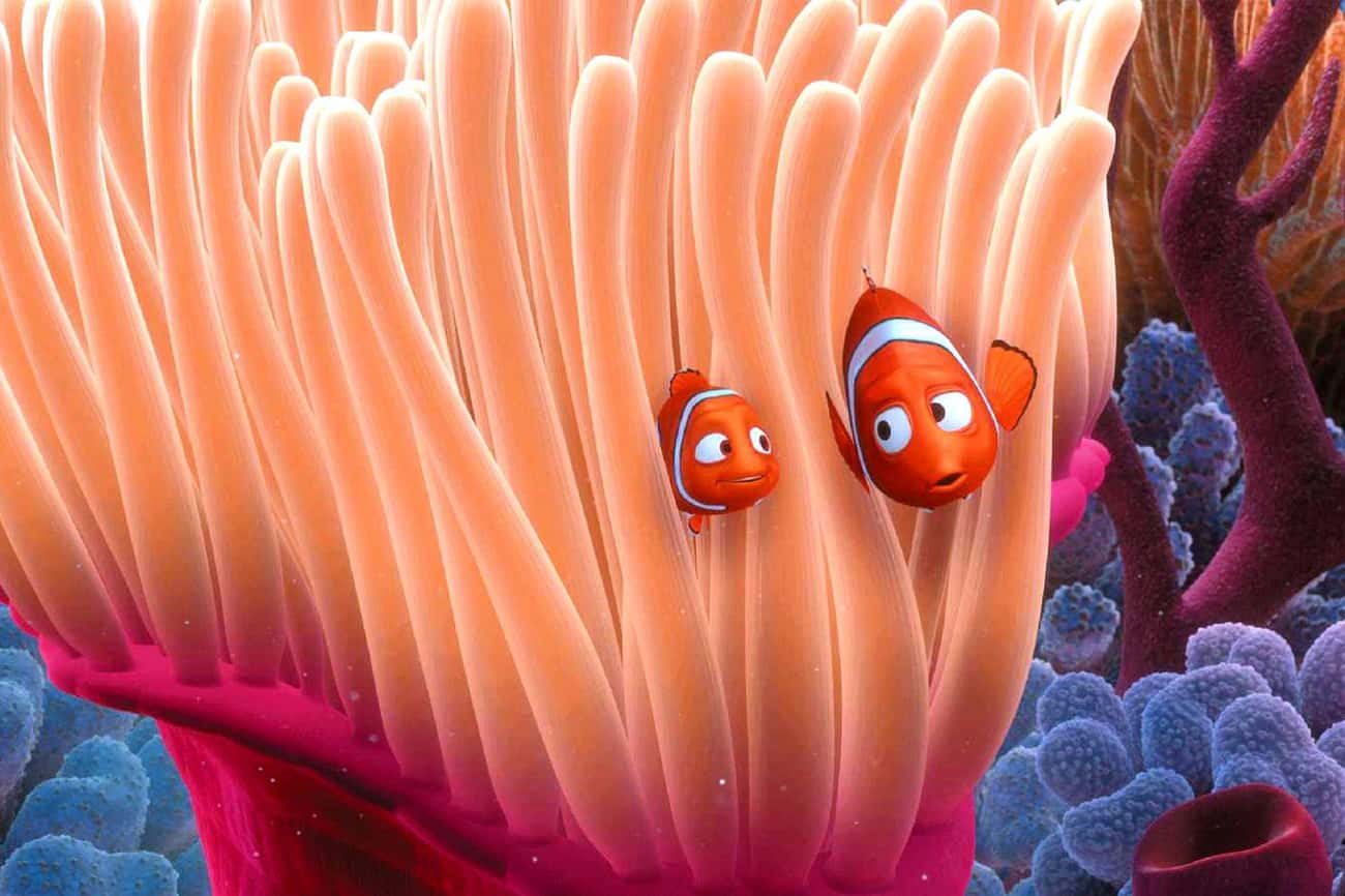 12 Accurate Scientific Details That Disney Movies Got Right - Clownfish Like Nemo in 'Finding Nemo' Do Live in Sea Anemones