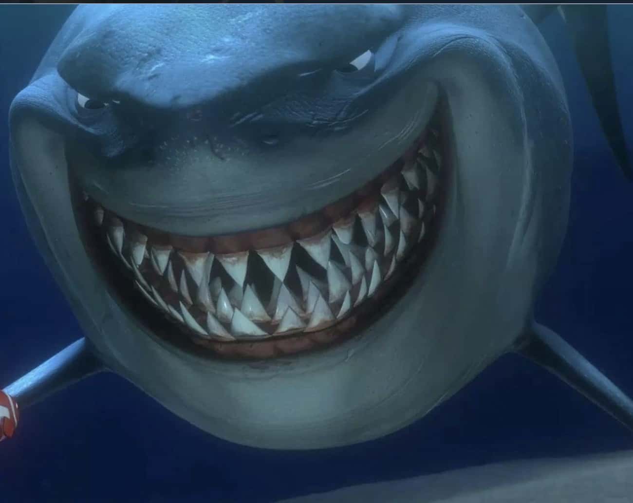 12 hechos científicos perfectamente plasmados en películas de Disney - Los tiburones tienen hileras de dientes, como Bruce en Buscando a Nemo