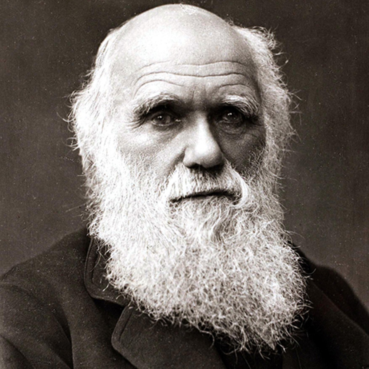 15 Most Infuential People in History - Charles Darwin