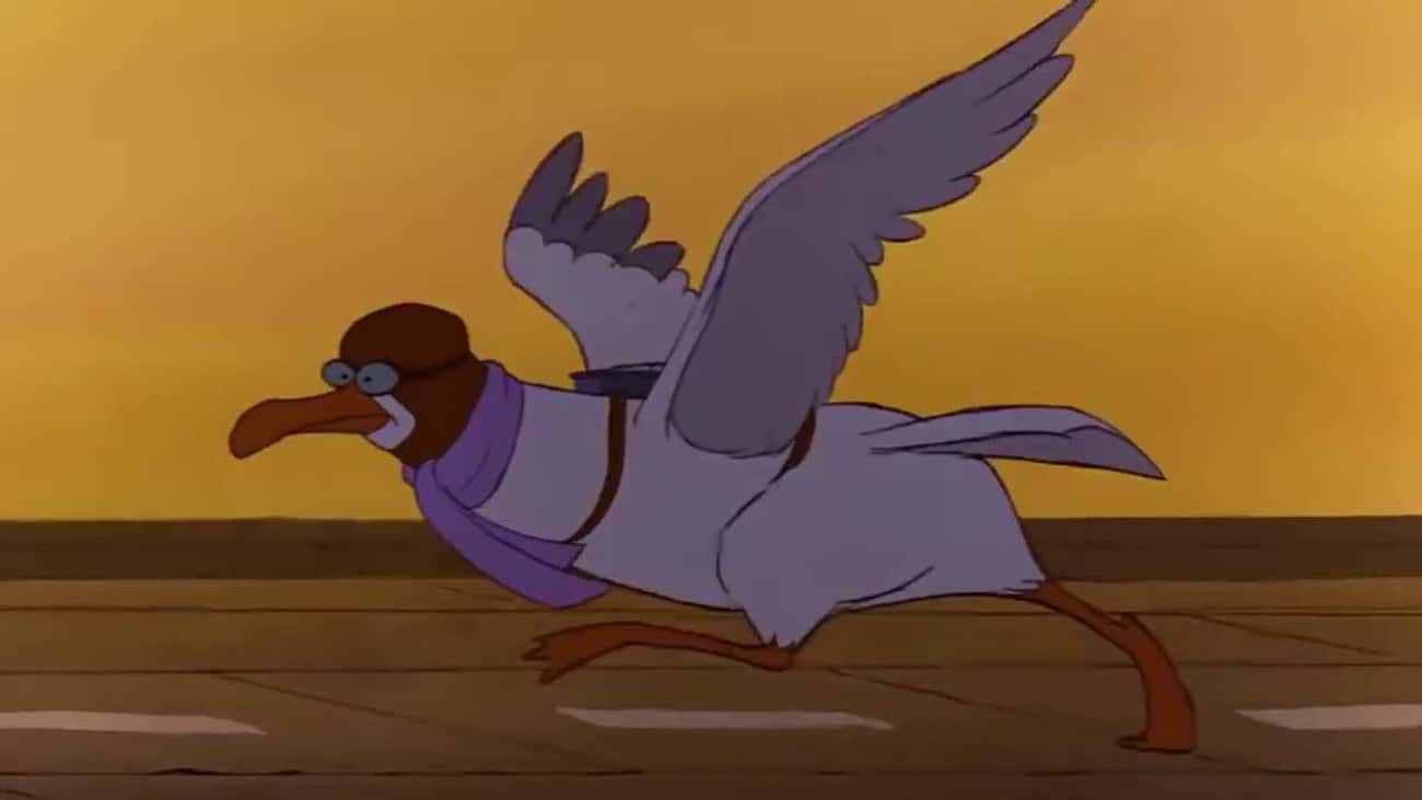 12 hechos científicos perfectamente plasmados en películas de Disney - Los albatros corren torpemente para ganar impulso antes de volar porque son muy grandes, como Orville en Los Rescatadores
