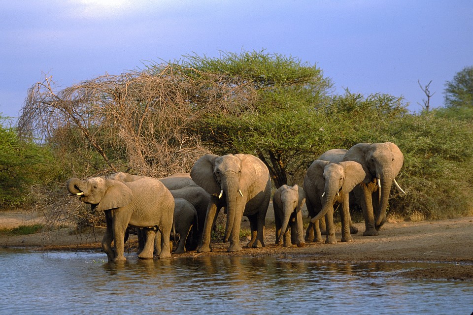 Sites Naturels à découvrir dans le monde - Parc National Kruger, Afrique du Sud