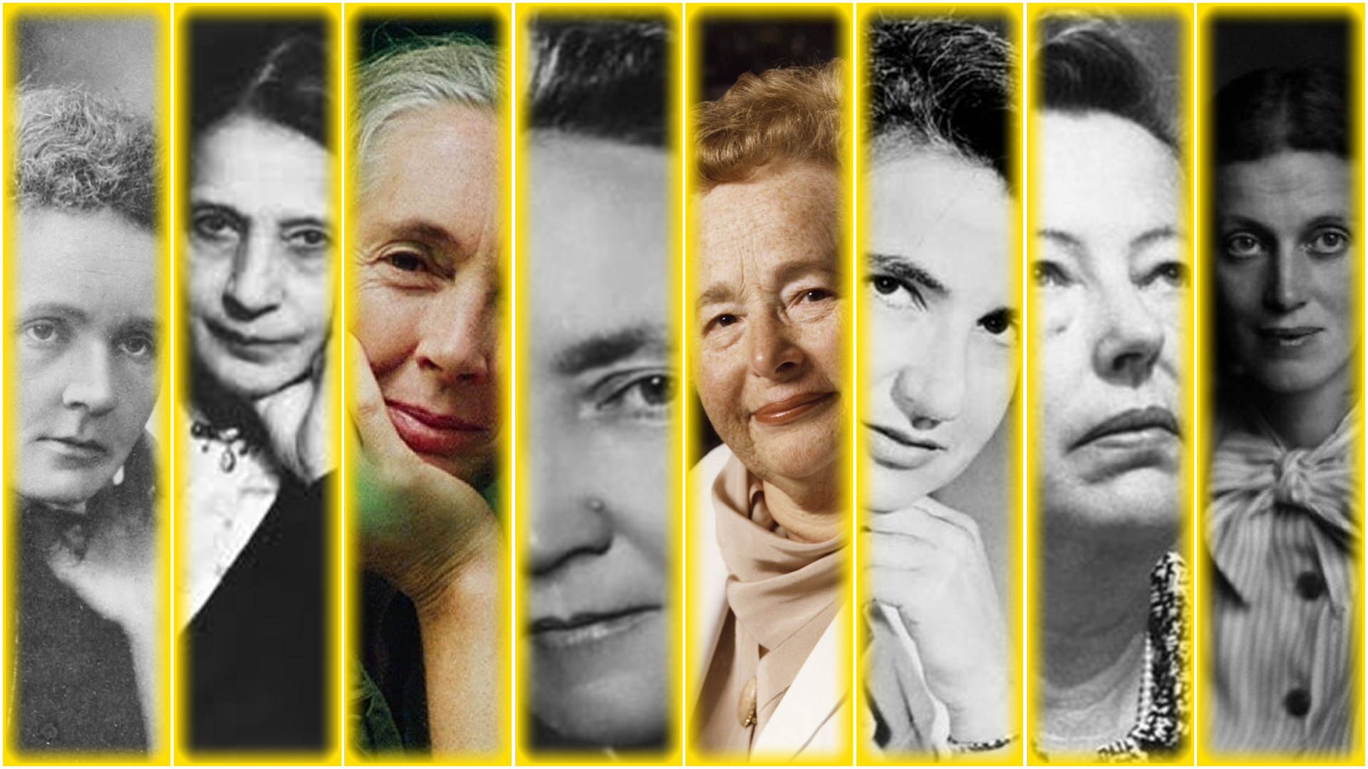 Die 10 berühmtesten Wissenschaftlerinnen in der Geschichte - Titelbild